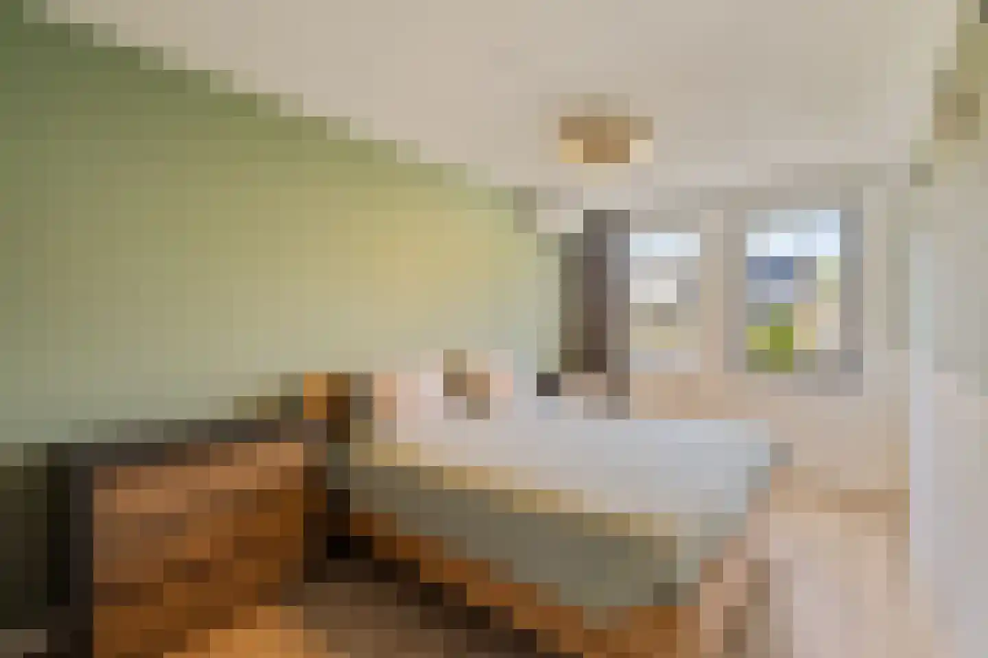 Bernsteinstraat 25 Capelle aan den IJssel thumbnail 19