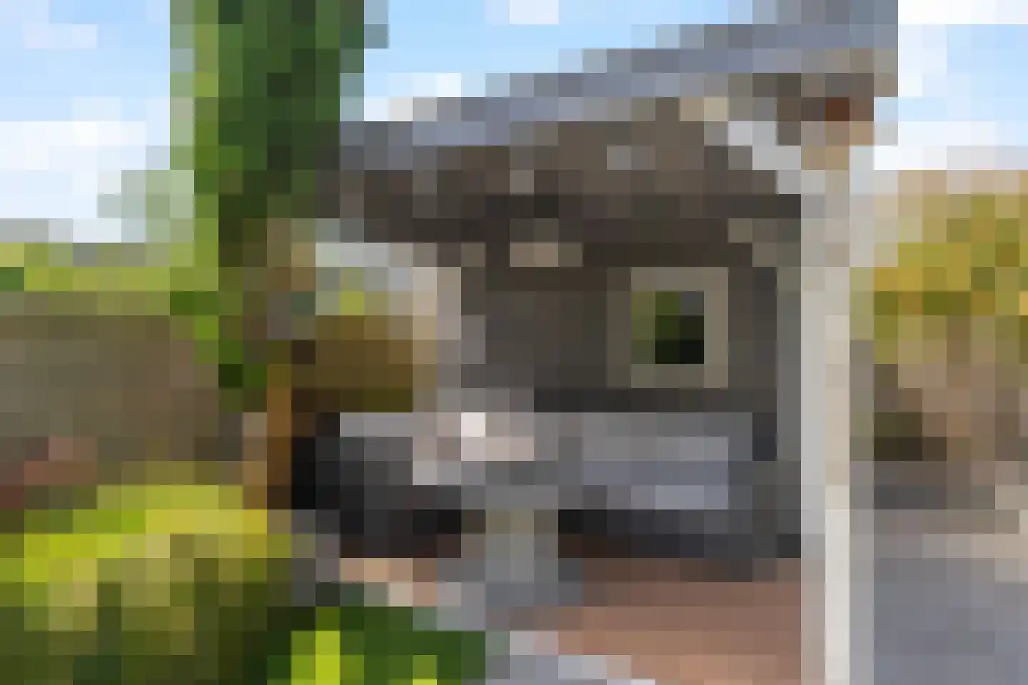 Bernsteinstraat 25 Capelle aan den IJssel thumbnail 33