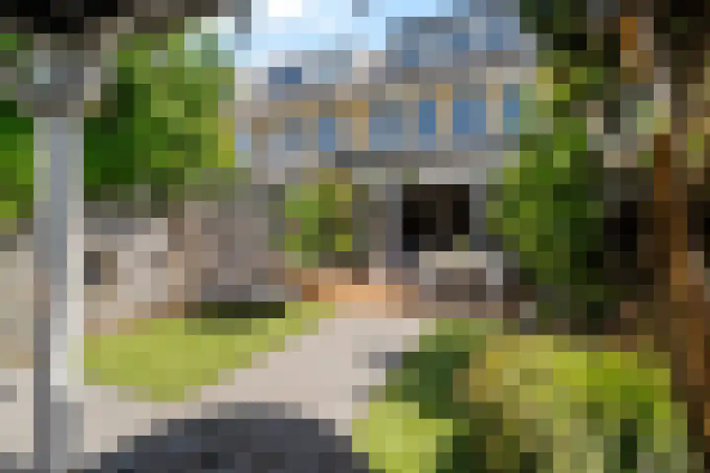 Bernsteinstraat 25 Capelle aan den IJssel thumbnail 4