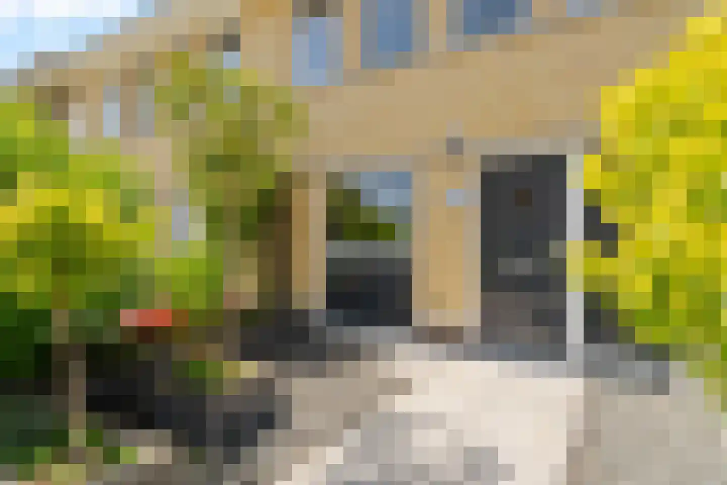 Bernsteinstraat 25 Capelle aan den IJssel thumbnail 5