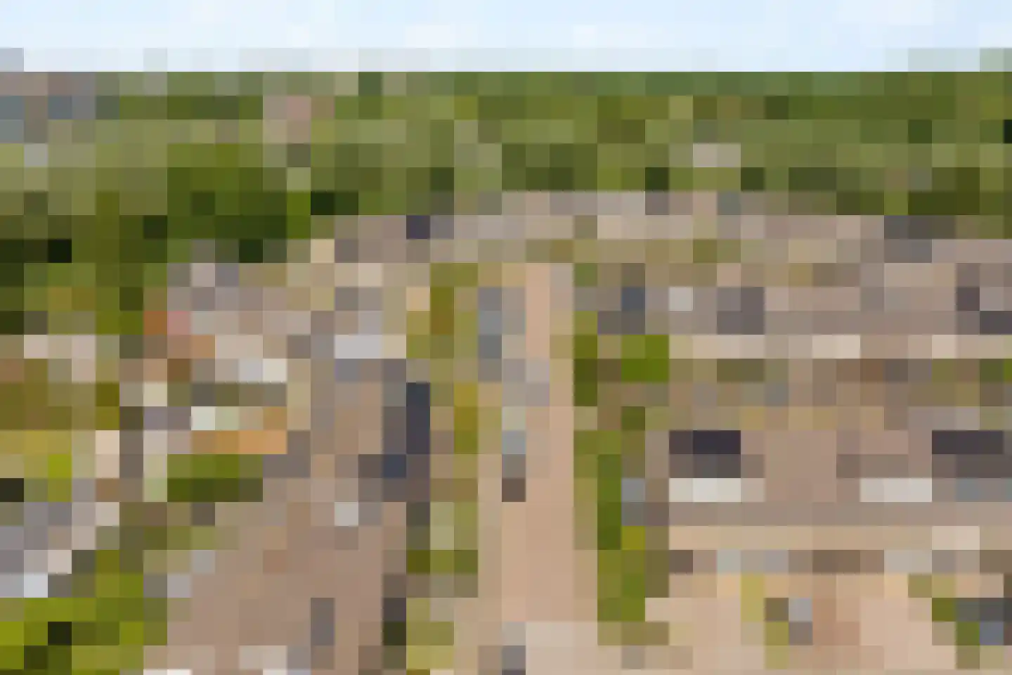 Bernsteinstraat 25 Capelle aan den IJssel thumbnail 6