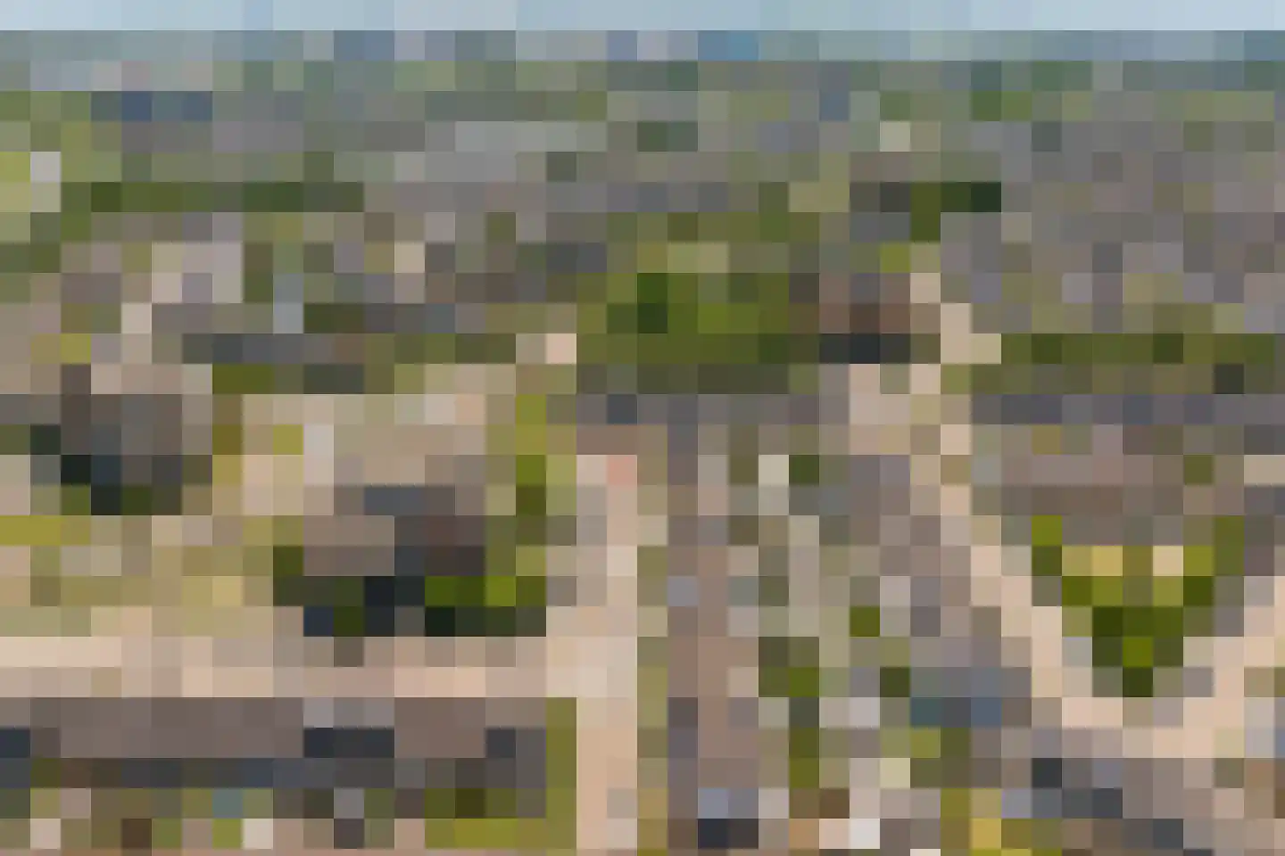 Bernsteinstraat 25 Capelle aan den IJssel thumbnail 7