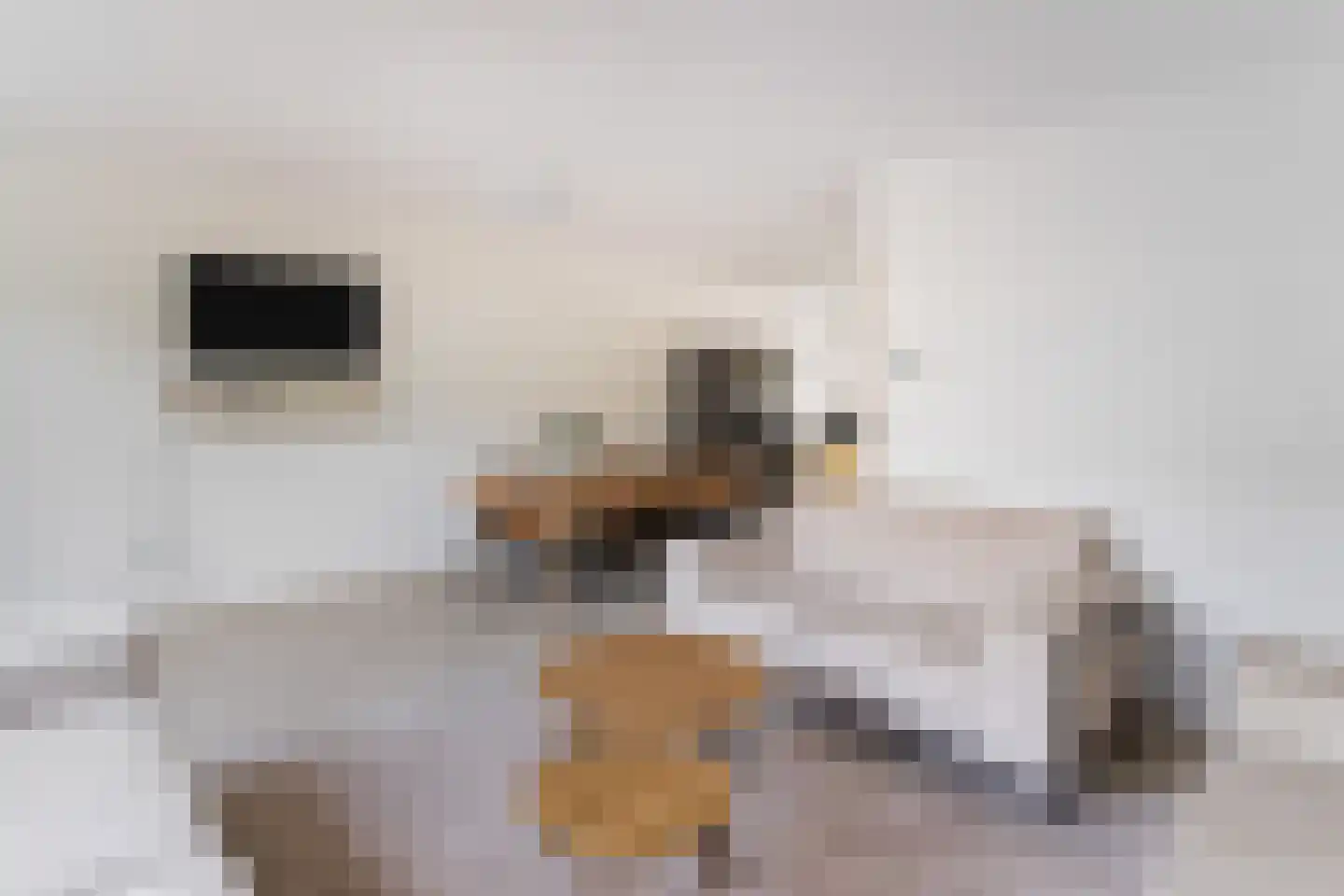Bernsteinstraat 82 Capelle aan den IJssel thumbnail 11