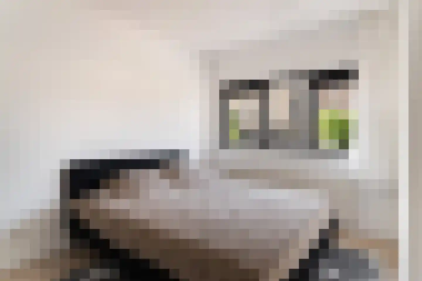 Bernsteinstraat 82 Capelle aan den IJssel thumbnail 24
