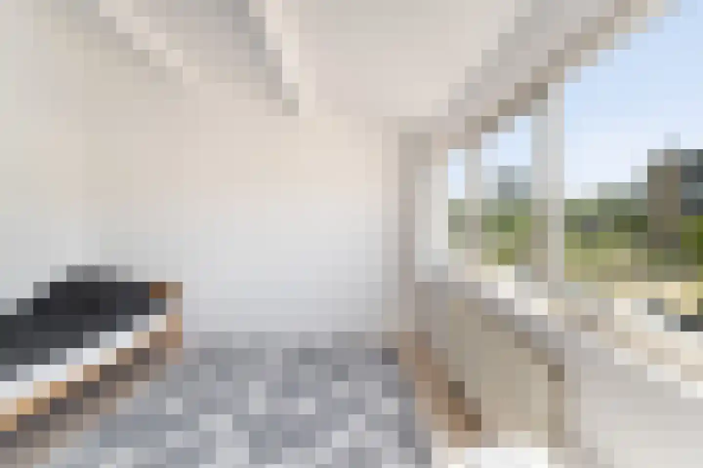 Bernsteinstraat 82 Capelle aan den IJssel thumbnail 36