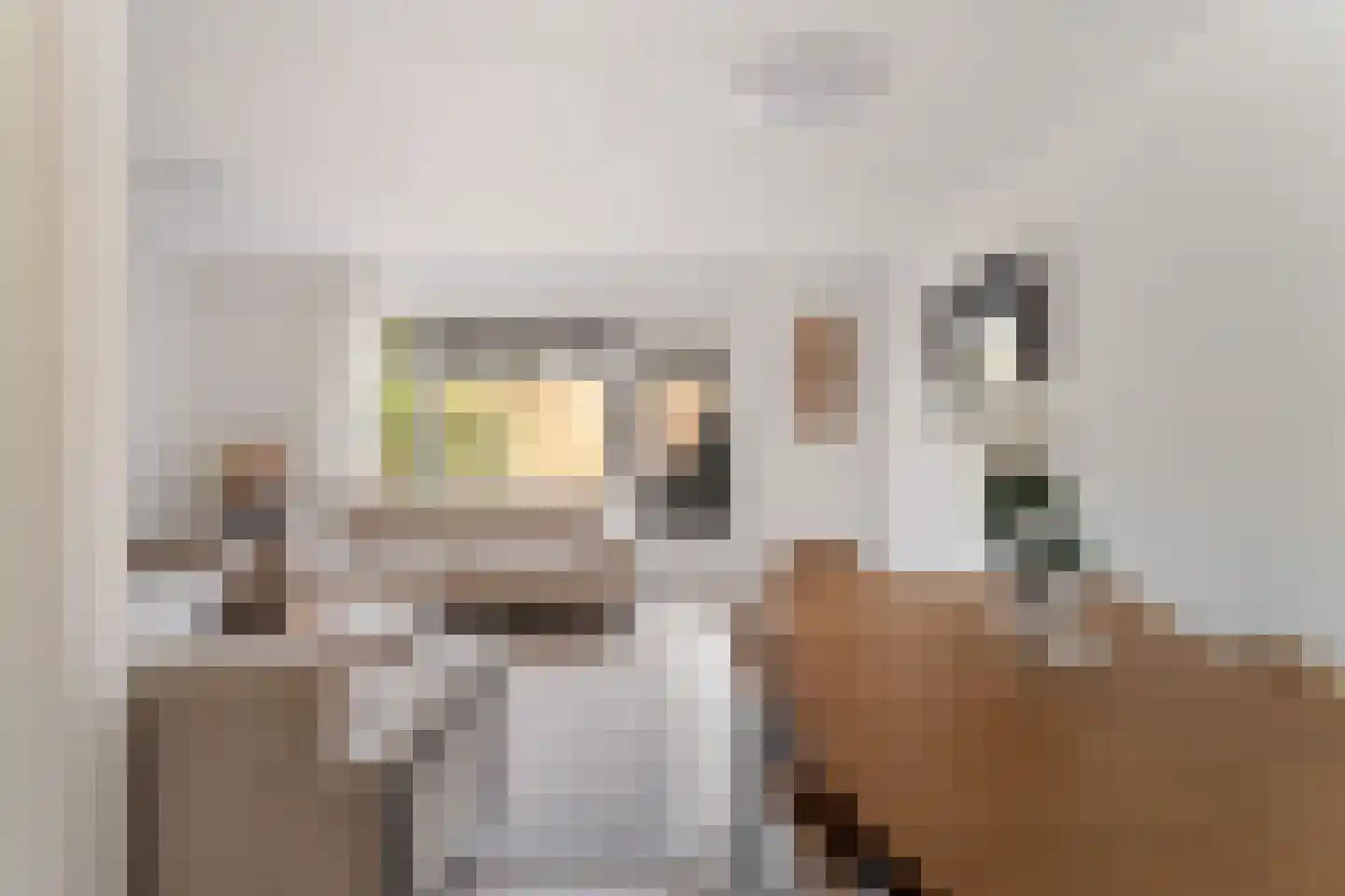 Bernsteinstraat 82 Capelle aan den IJssel thumbnail 8