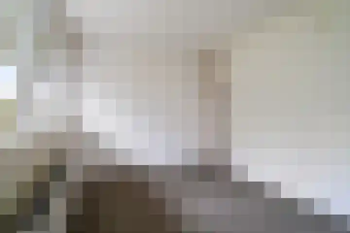 Bernweg 153 Vlaardingen thumbnail 18