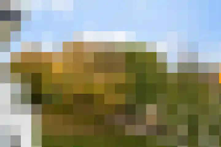 Bernweg 153 Vlaardingen thumbnail 29