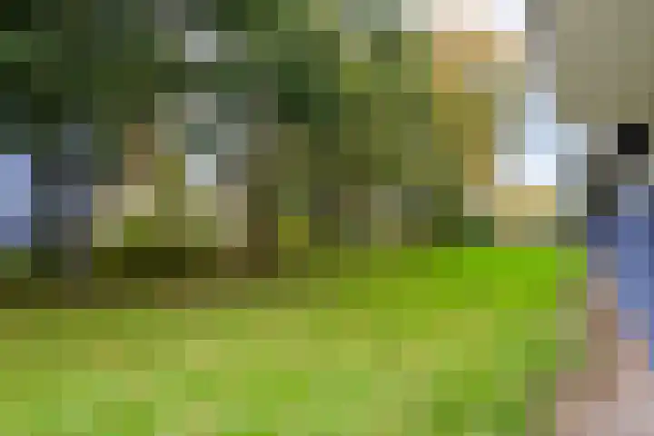 Bernweg 153 Vlaardingen thumbnail 30
