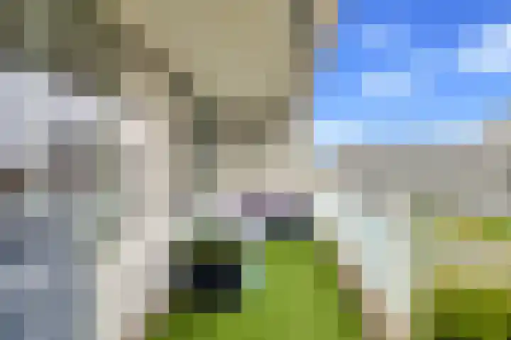 Bernweg 181 Vlaardingen thumbnail 15