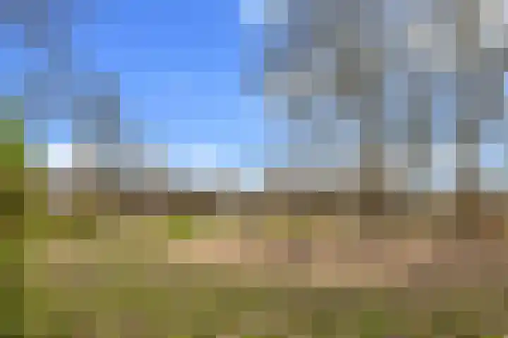 Bernweg 181 Vlaardingen thumbnail 38