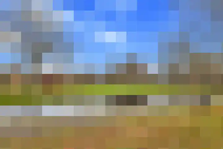 Bernweg 181 Vlaardingen thumbnail 39