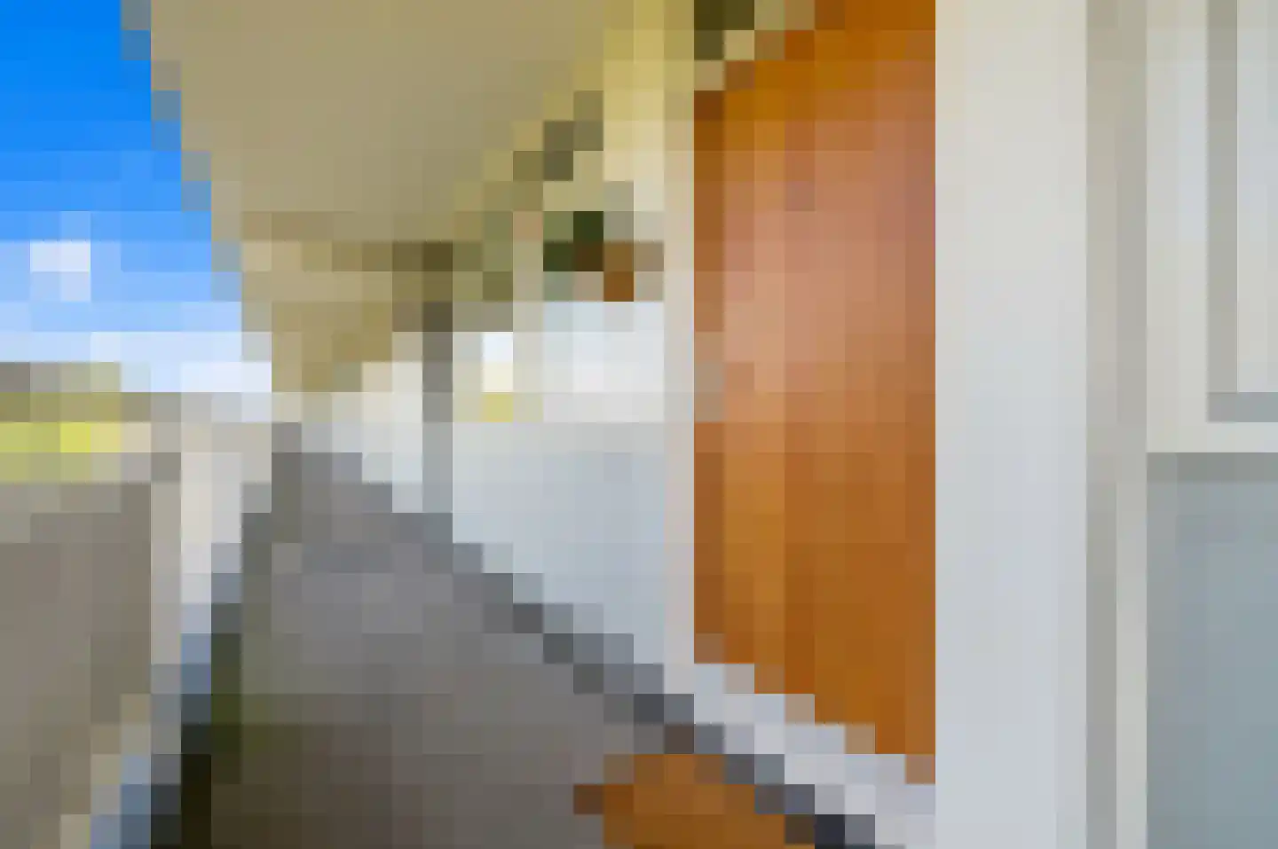 Bernweg 201 Vlaardingen thumbnail 18