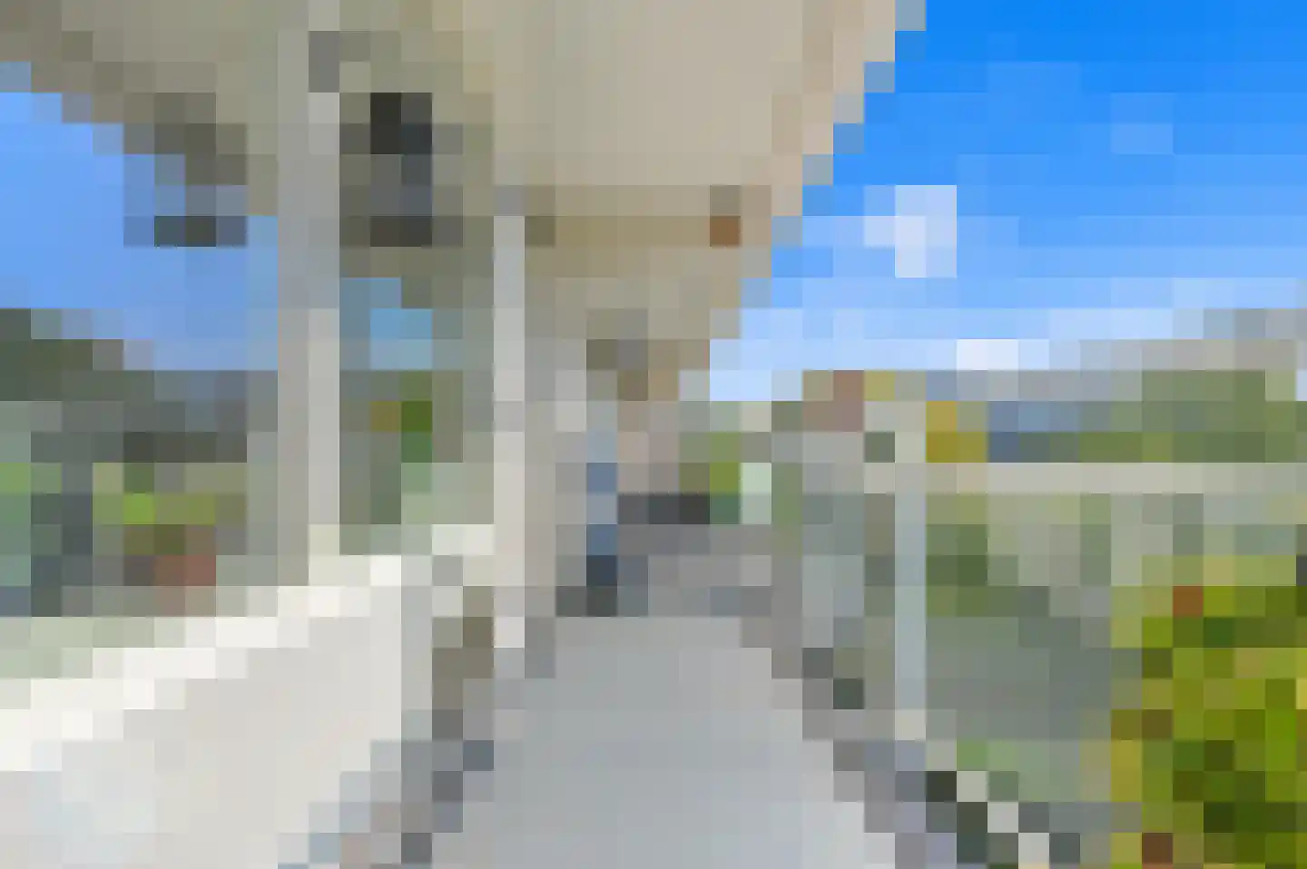 Bernweg 201 Vlaardingen thumbnail 25