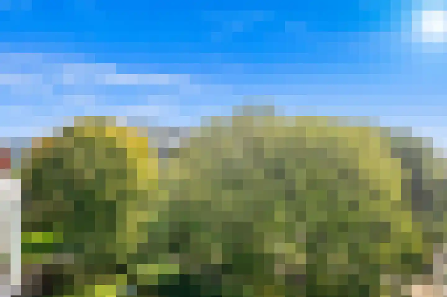 Bernweg 201 Vlaardingen thumbnail 27