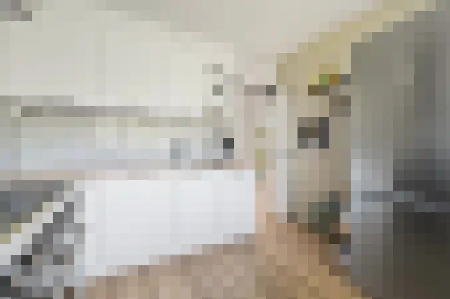 Bernweg 201 Vlaardingen thumbnail 32