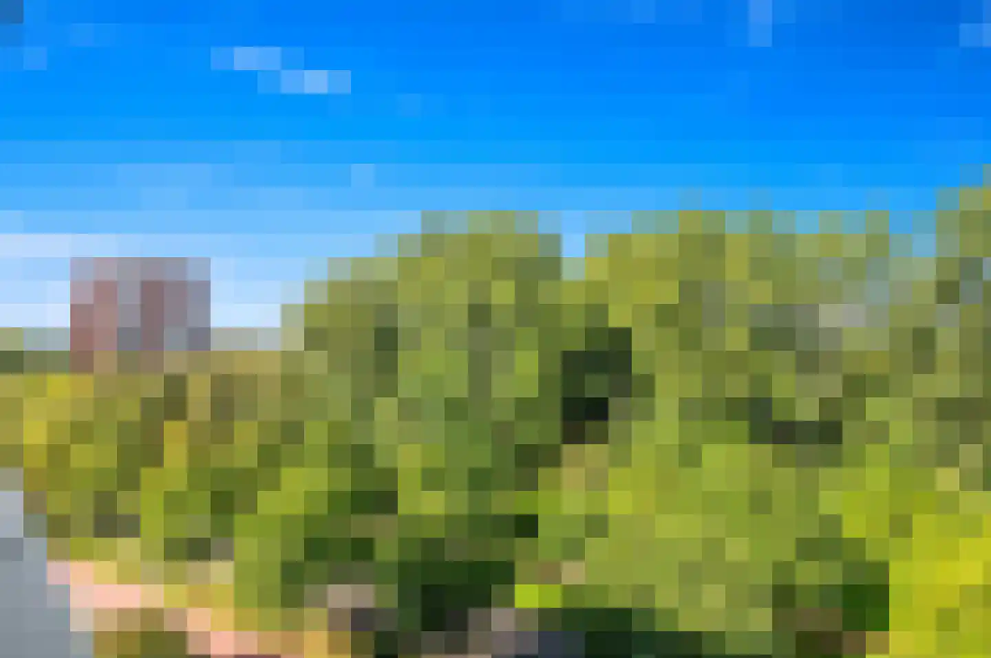 Bernweg 201 Vlaardingen thumbnail 43