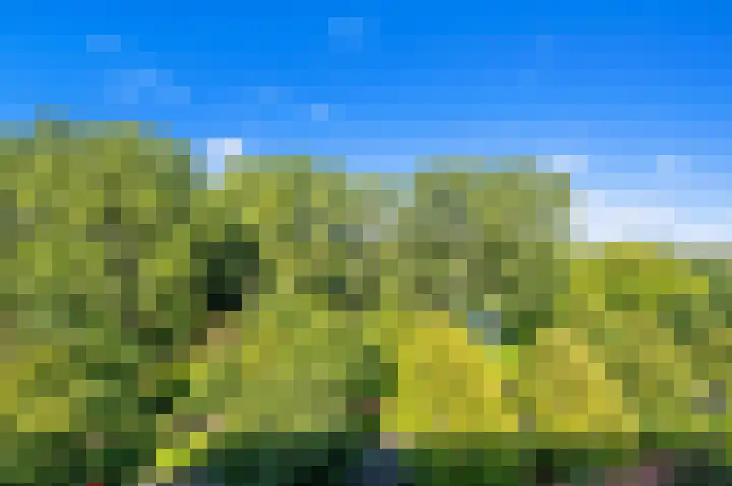 Bernweg 201 Vlaardingen thumbnail 44