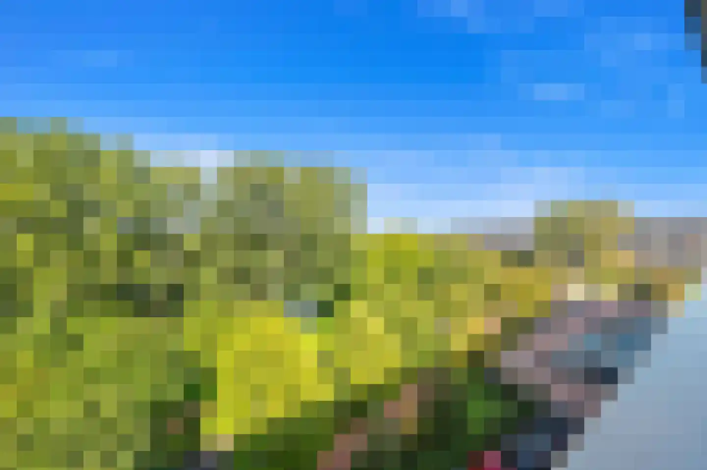 Bernweg 201 Vlaardingen thumbnail 45