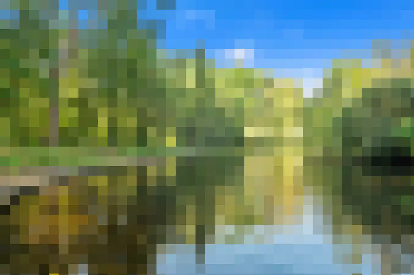 Bernweg 201 Vlaardingen thumbnail 53