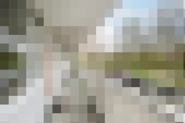Bernweg 37 Vlaardingen thumbnail 11