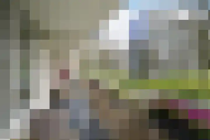 Bernweg 37 Vlaardingen thumbnail 20