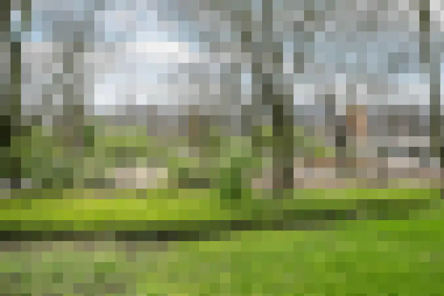 Bernweg 37 Vlaardingen thumbnail 21