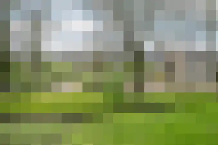 Bernweg 37 Vlaardingen thumbnail 21