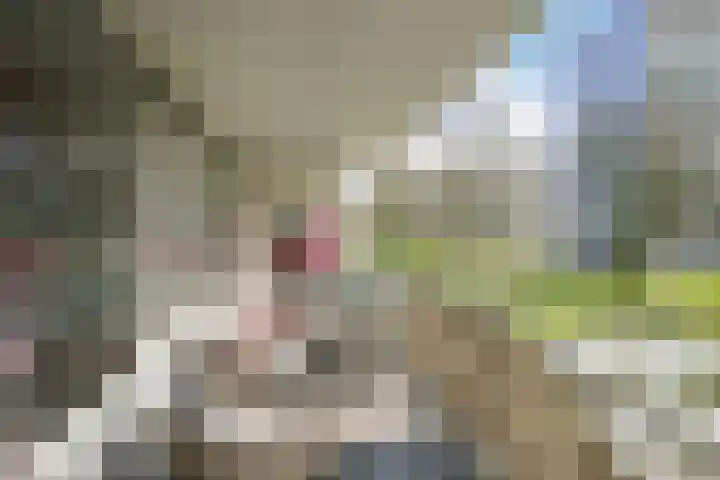 Bernweg 37 Vlaardingen thumbnail 22