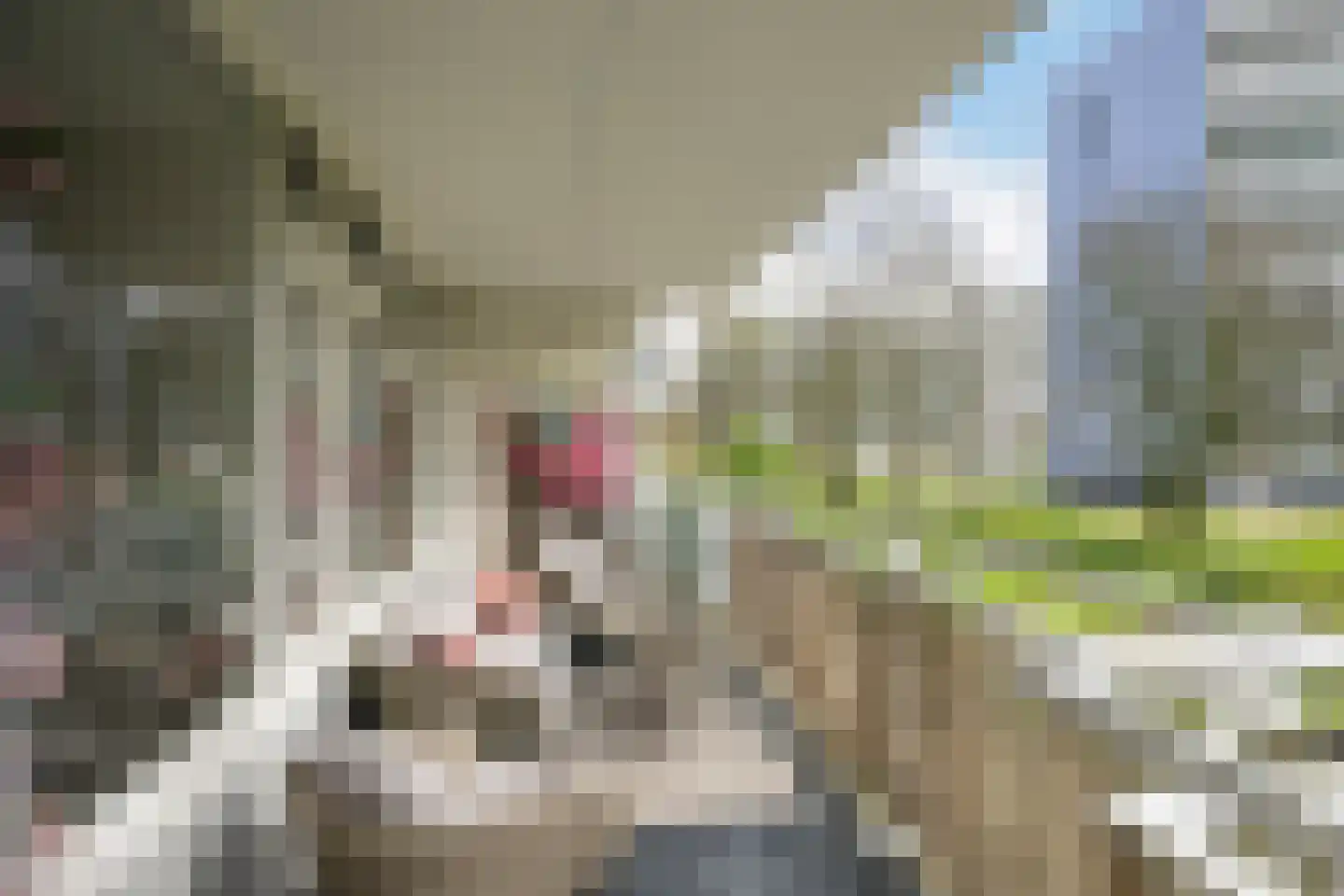 Bernweg 37 Vlaardingen thumbnail 22
