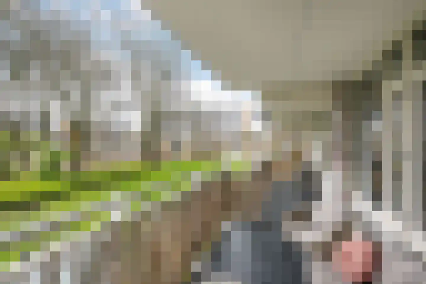 Bernweg 37 Vlaardingen thumbnail 23
