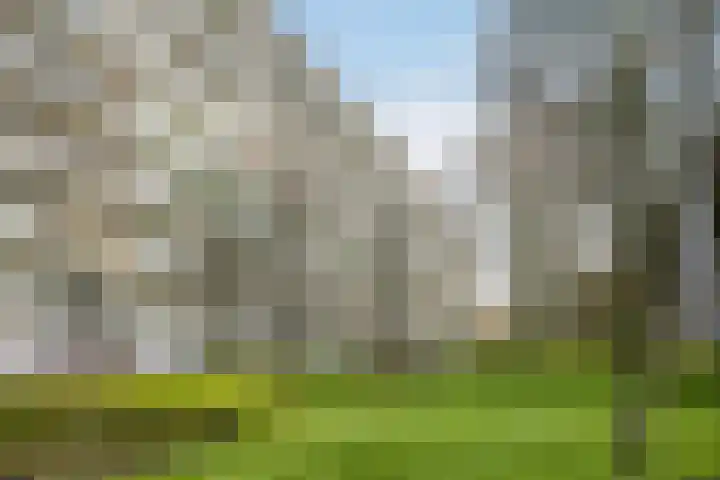 Bernweg 37 Vlaardingen thumbnail 39