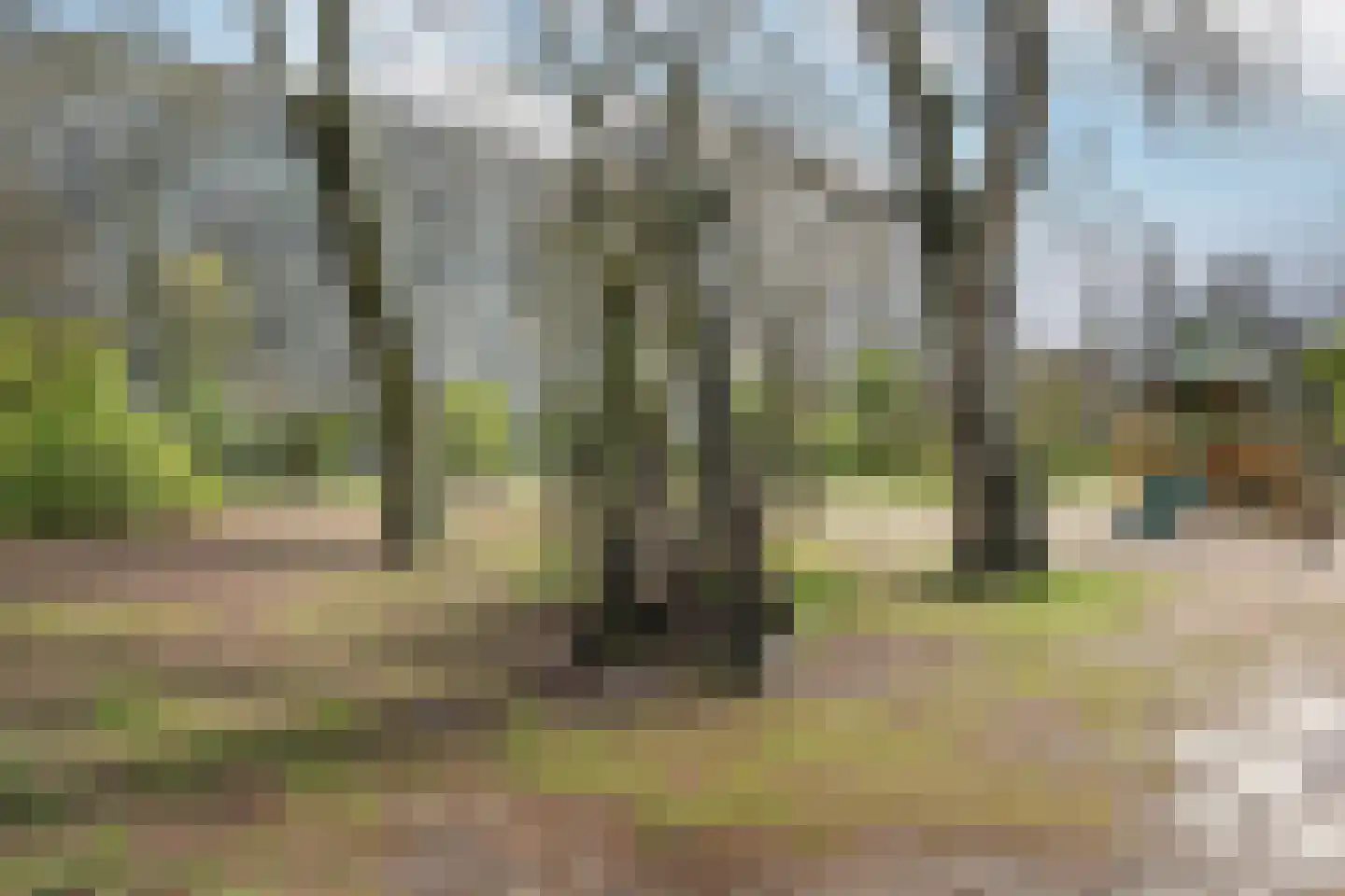 Bernweg 37 Vlaardingen thumbnail 40