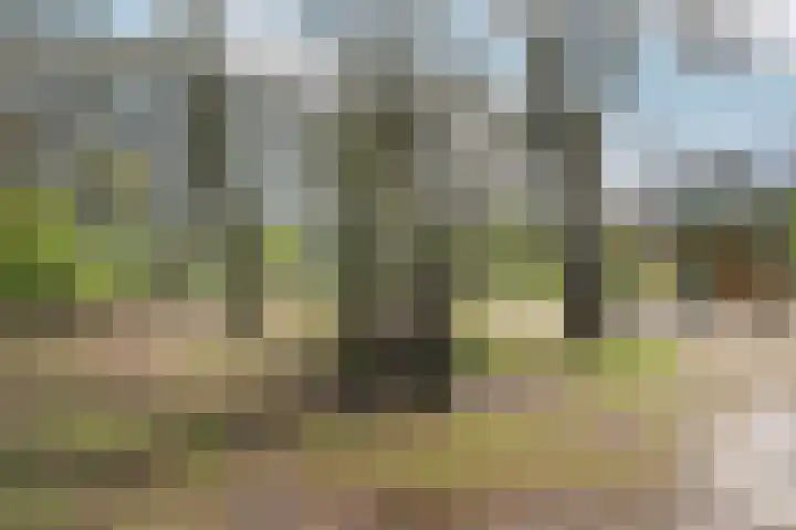 Bernweg 37 Vlaardingen thumbnail 40