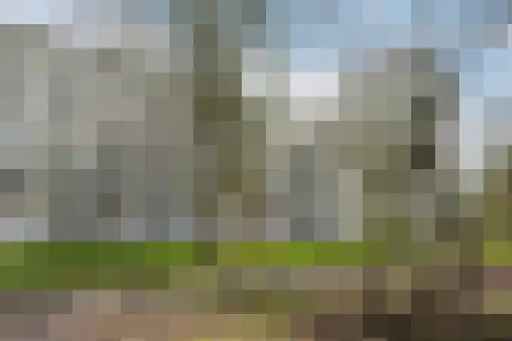 Bernweg 37 Vlaardingen thumbnail 41