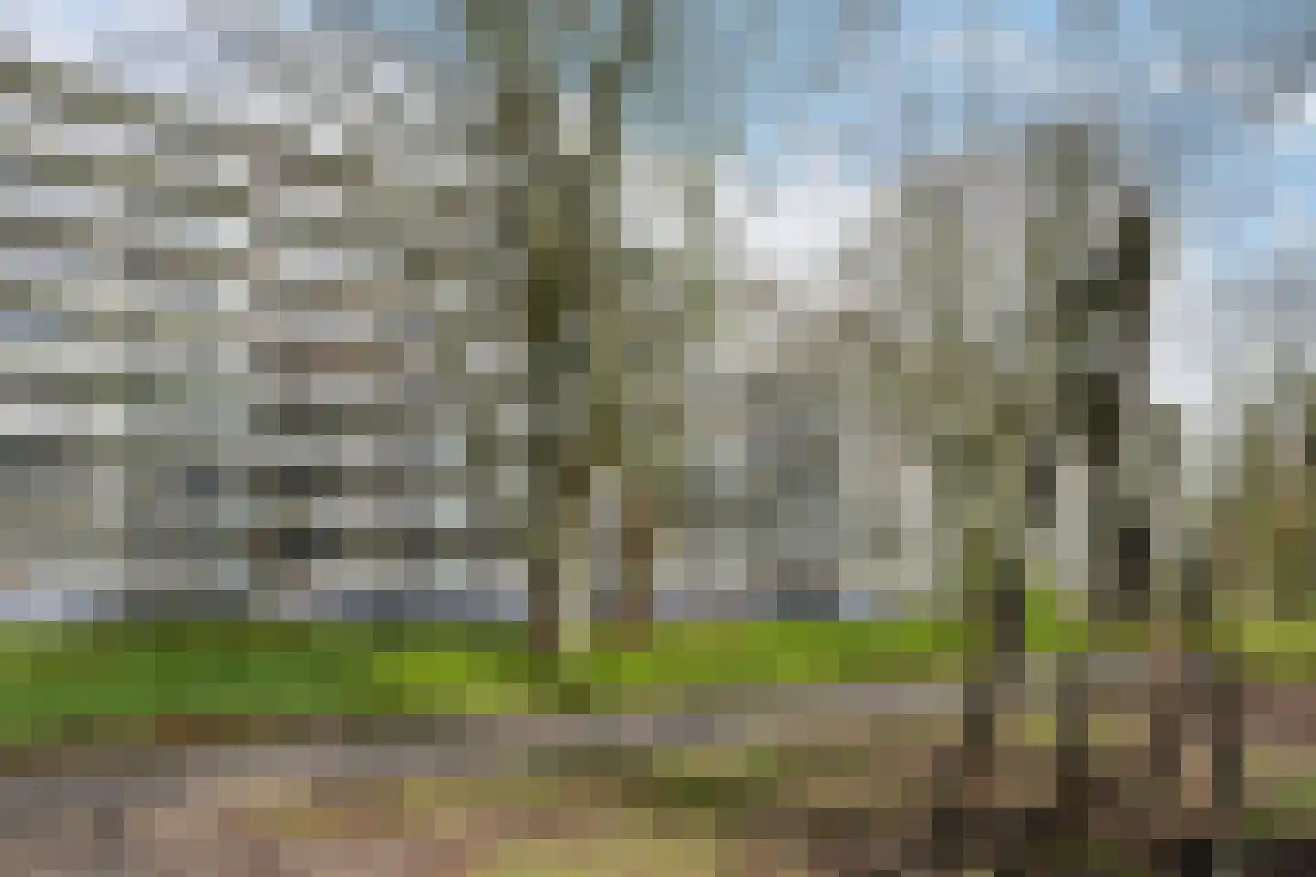 Bernweg 37 Vlaardingen thumbnail 41