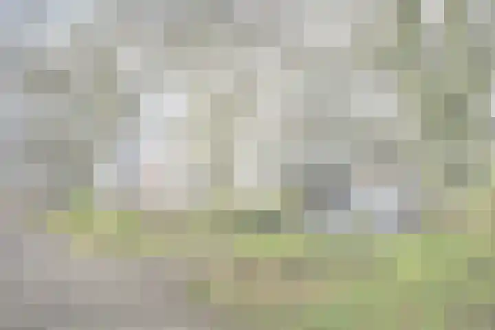 Bernweg 37 Vlaardingen thumbnail 42