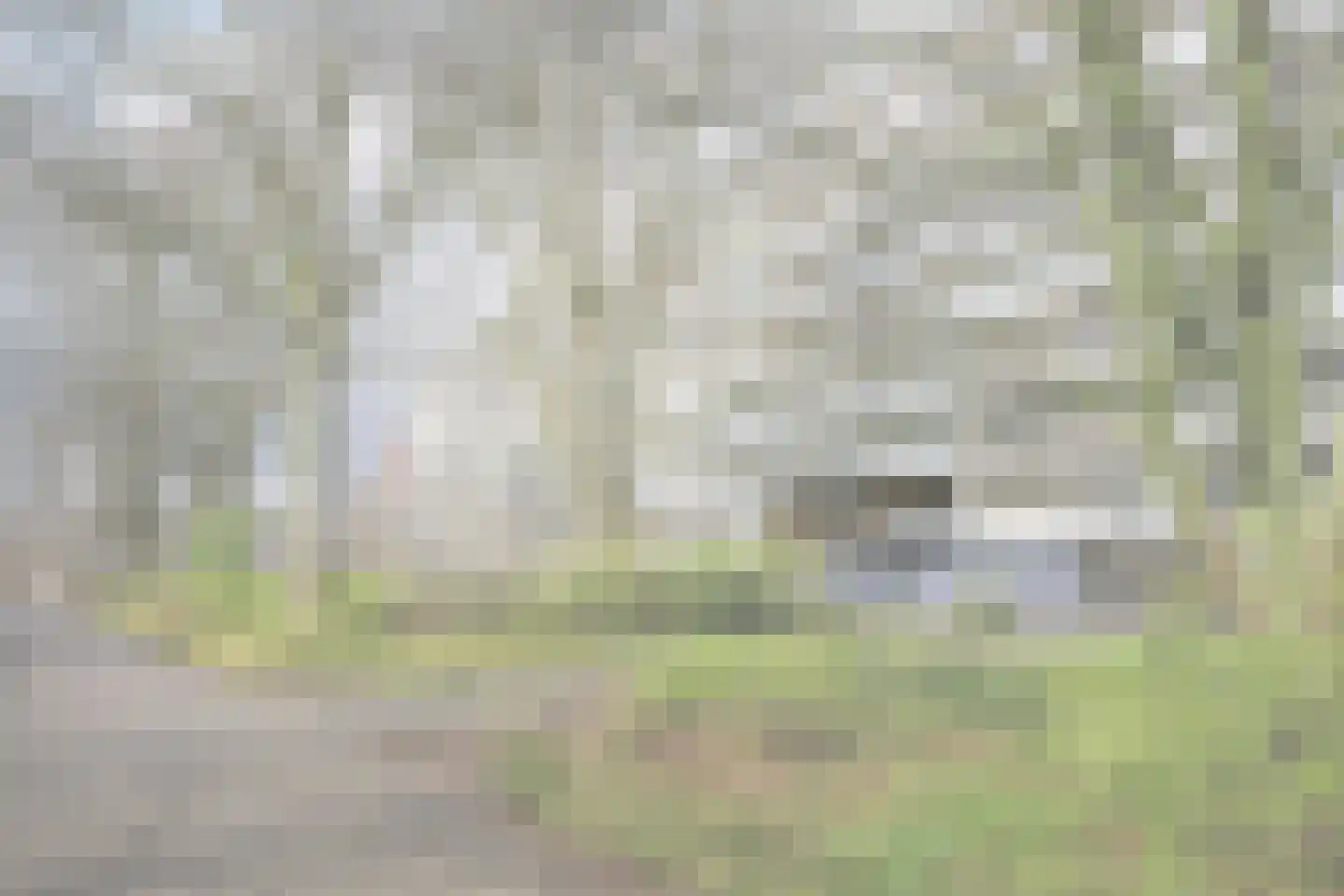 Bernweg 37 Vlaardingen thumbnail 42