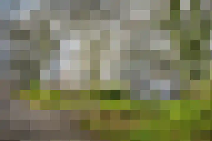 Bernweg 37 Vlaardingen thumbnail 7