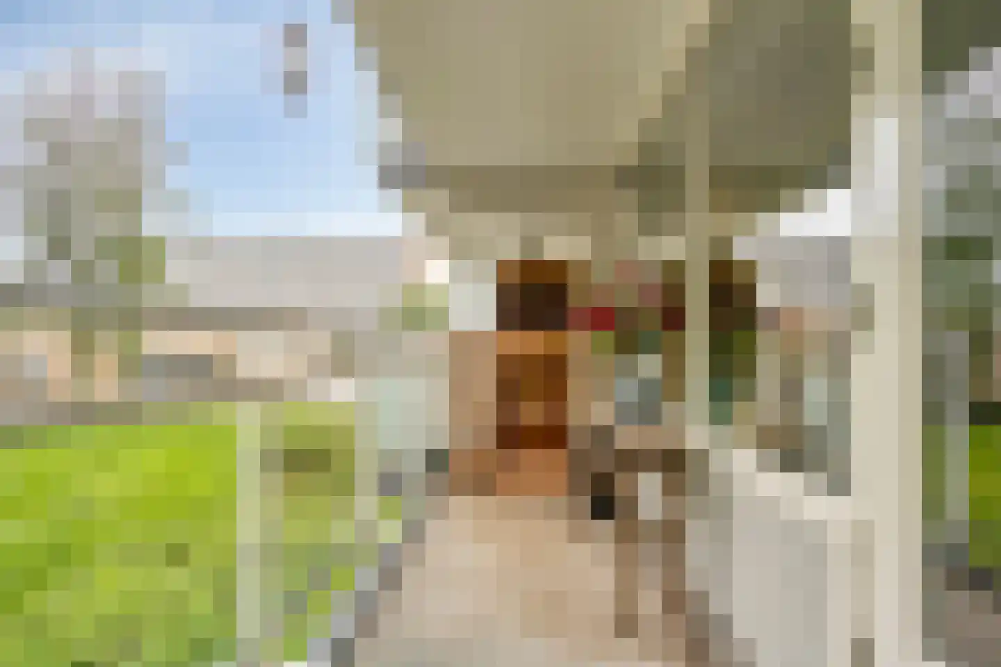 Bernweg 43 Vlaardingen thumbnail 28
