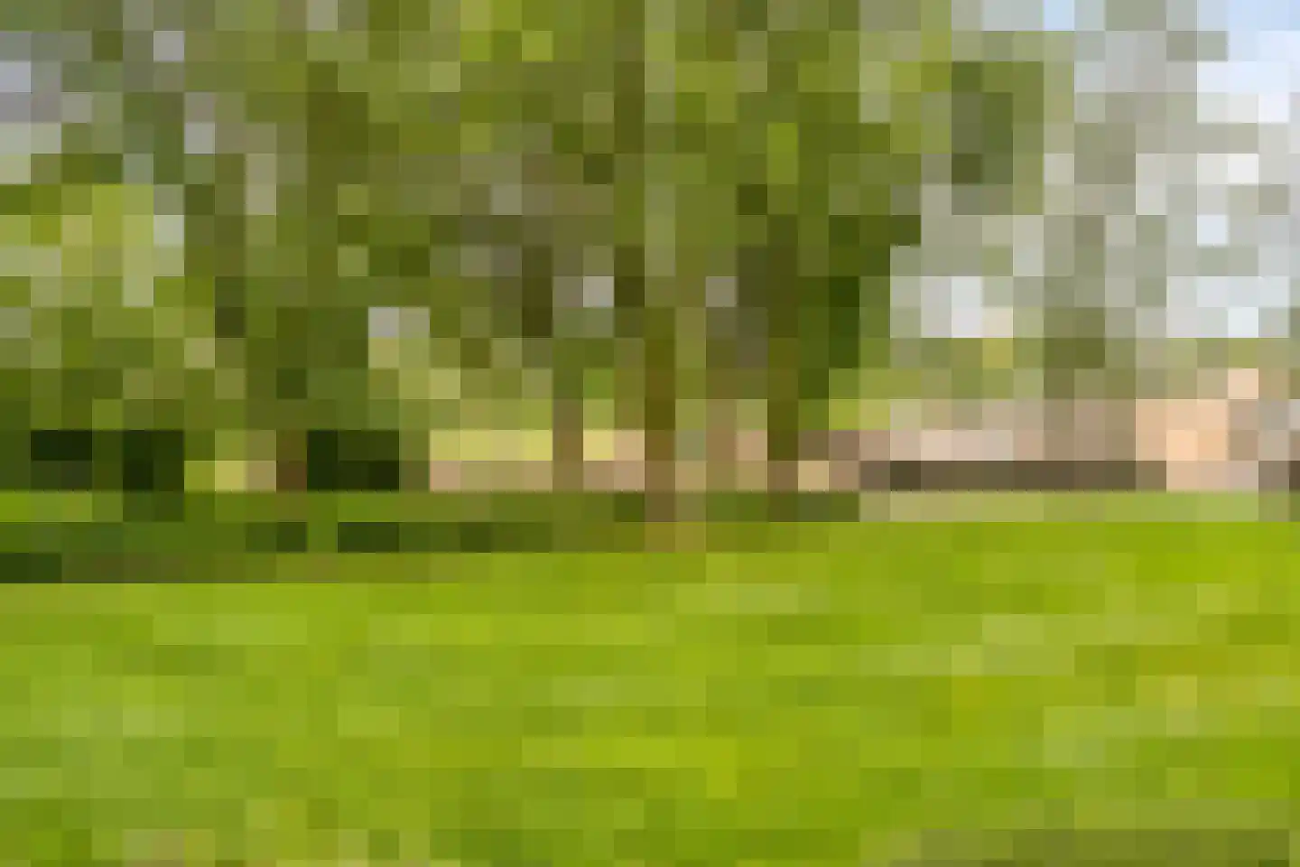 Bernweg 43 Vlaardingen thumbnail 30