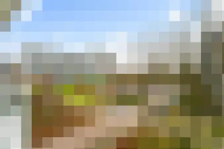 Bernweg 77 Vlaardingen thumbnail 5