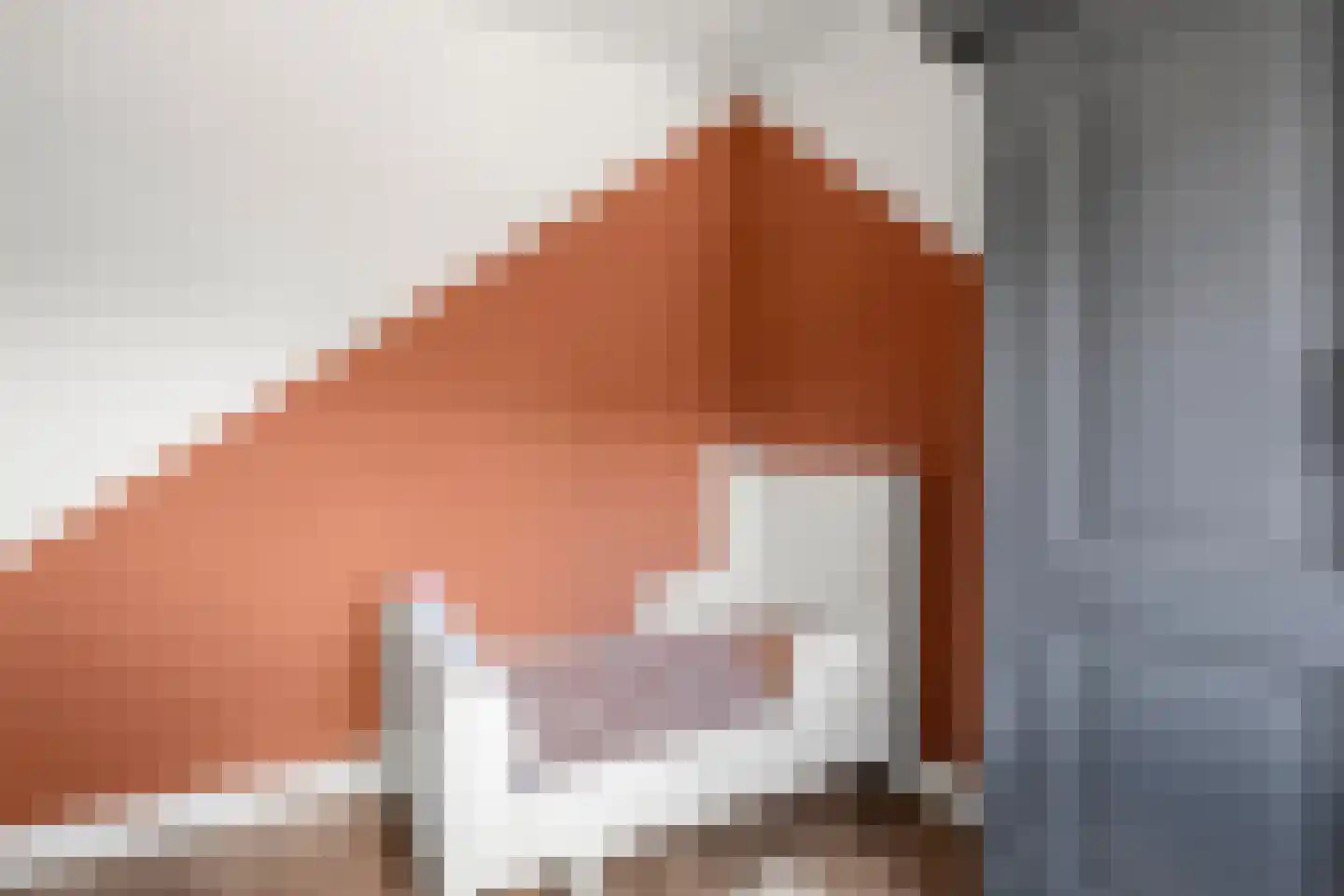 Bersebastraat 23 Kootwijkerbroek thumbnail 24
