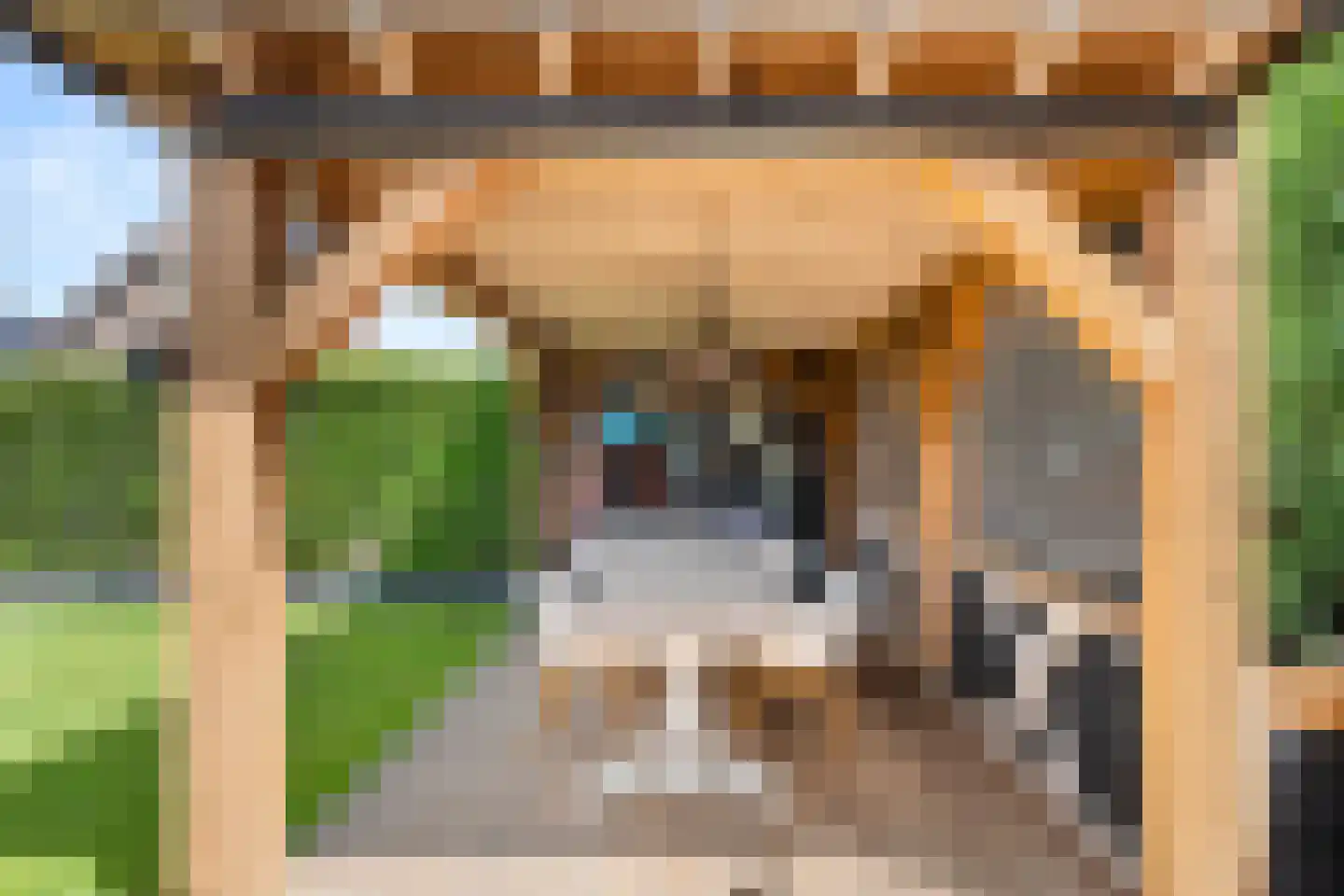 Bersebastraat 23 Kootwijkerbroek thumbnail 38