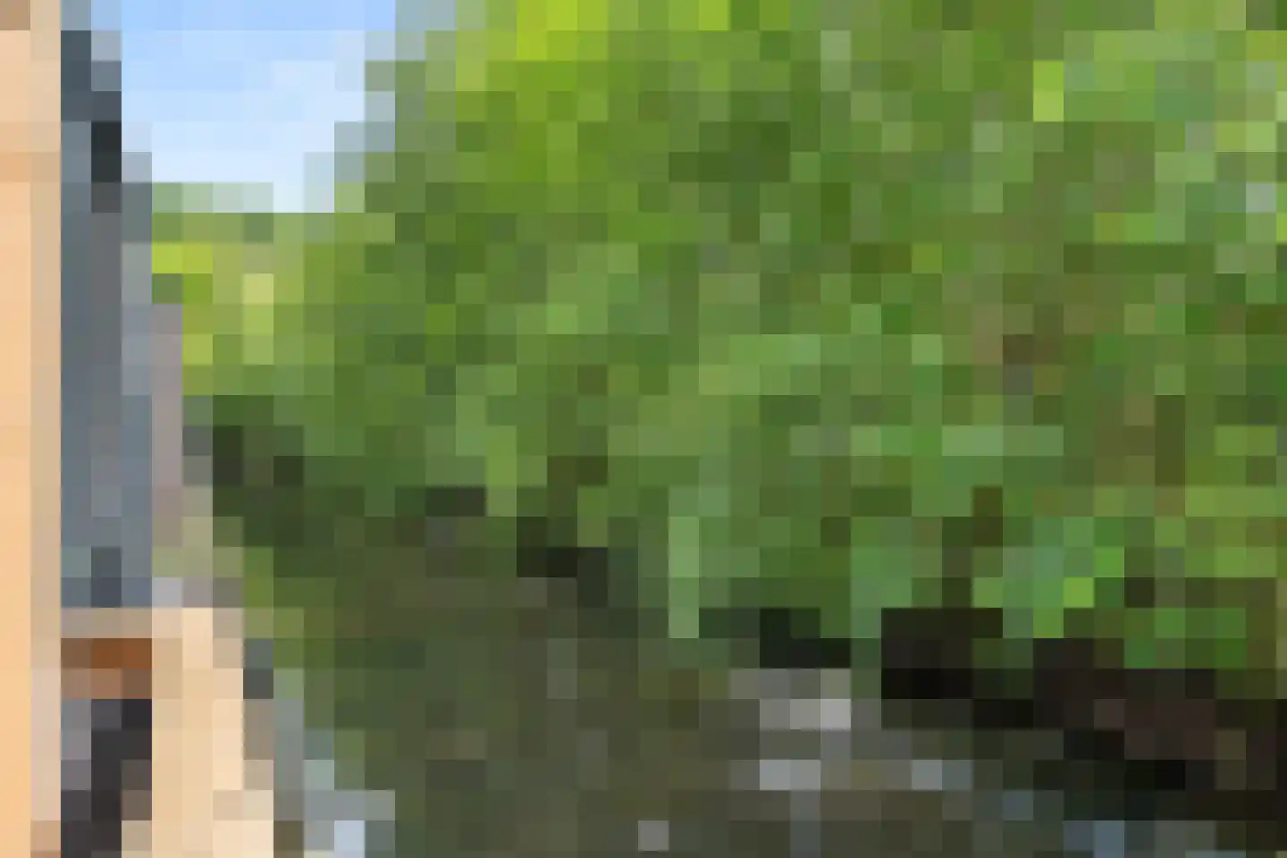 Bersebastraat 23 Kootwijkerbroek thumbnail 39