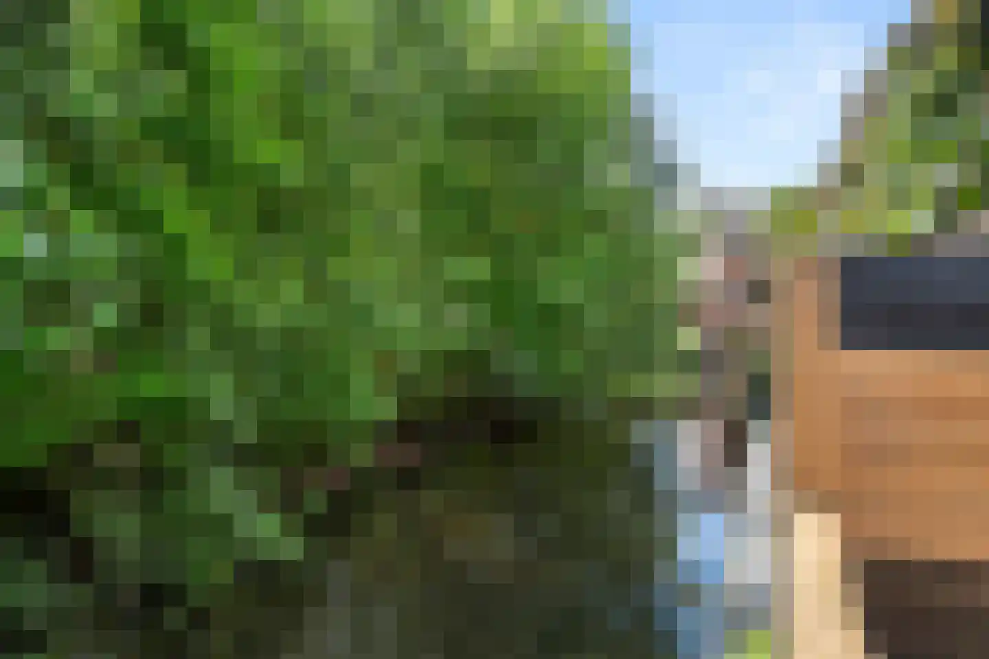 Bersebastraat 23 Kootwijkerbroek thumbnail 40