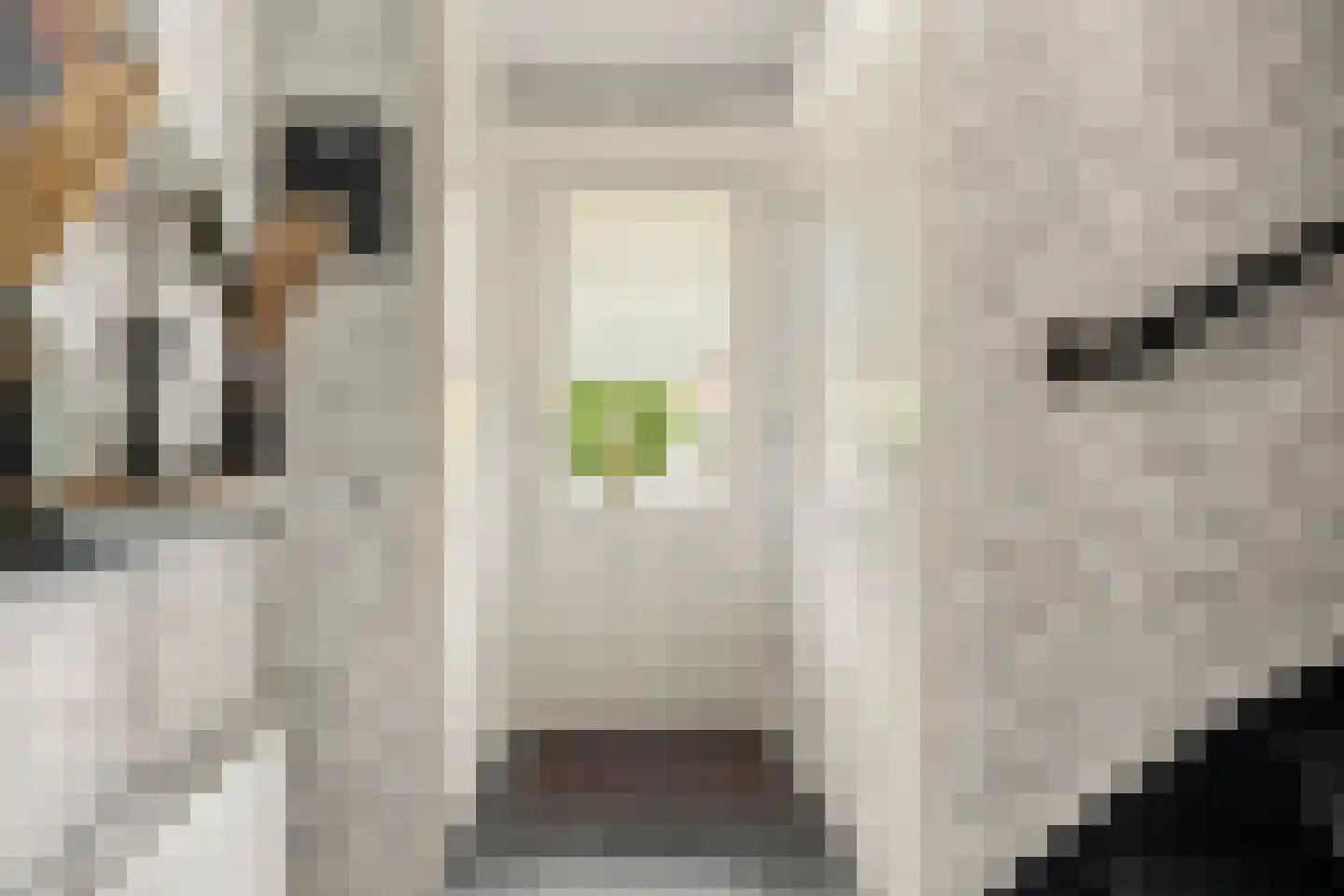Bersebastraat 23 Kootwijkerbroek thumbnail 7