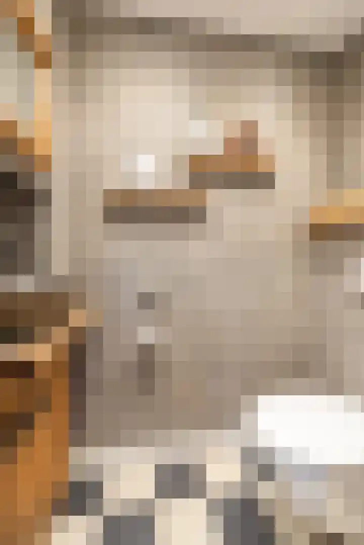 Bersebastraat 6 Kootwijkerbroek thumbnail 11