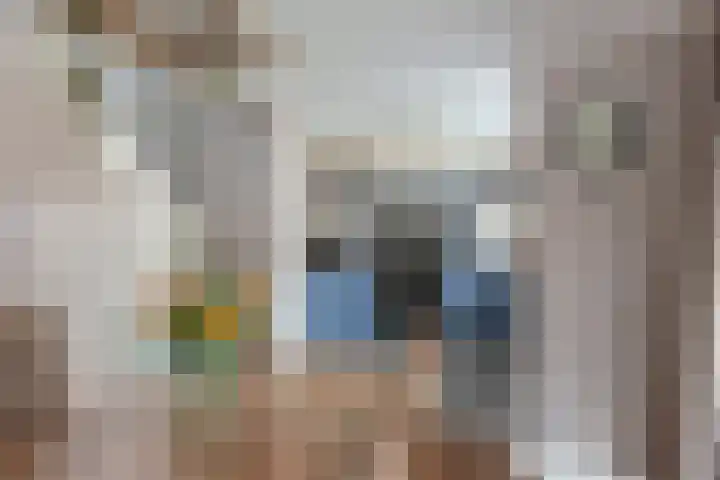 Bersebastraat 6 Kootwijkerbroek thumbnail 18
