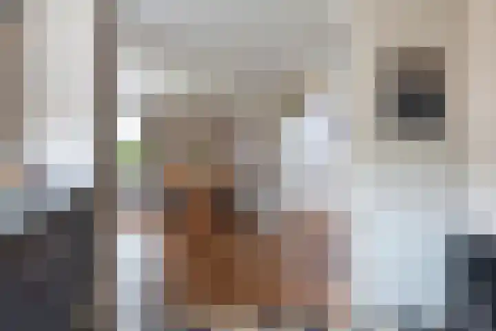 Bersebastraat 6 Kootwijkerbroek thumbnail 25